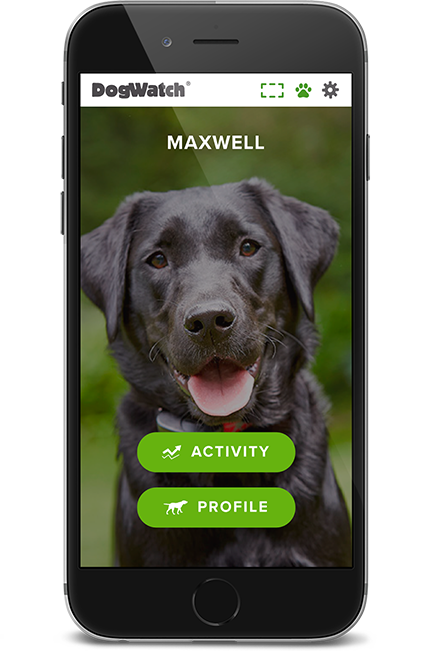 DogWatch of the Coulee Region, , Wisconsin | SmartFence WebApp Image