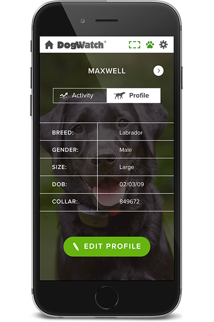 DogWatch of the Coulee Region, , Wisconsin | SmartFence WebApp Image