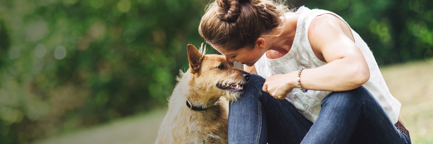 DogWatch of the Coulee Region, , Wisconsin | BarkCollar No-Bark Trainer Slider Image